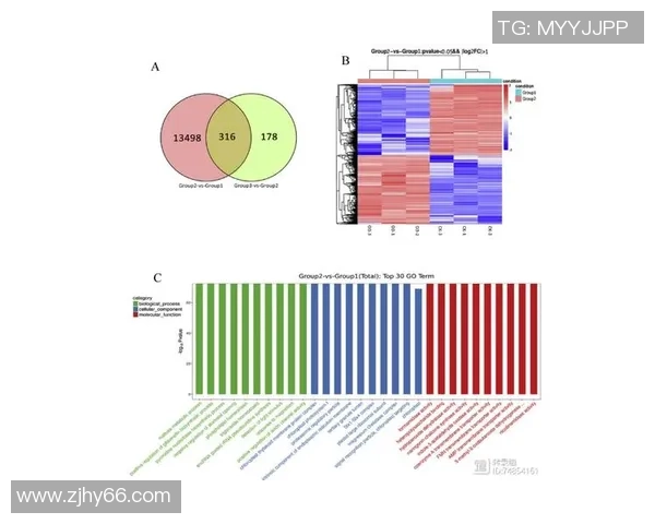 杭州足球队区域防守的优缺点分析及其对比赛结果的影响探讨
